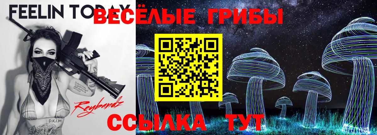 Псилоцибиновые грибы GOLDEN TEACHER Вязники