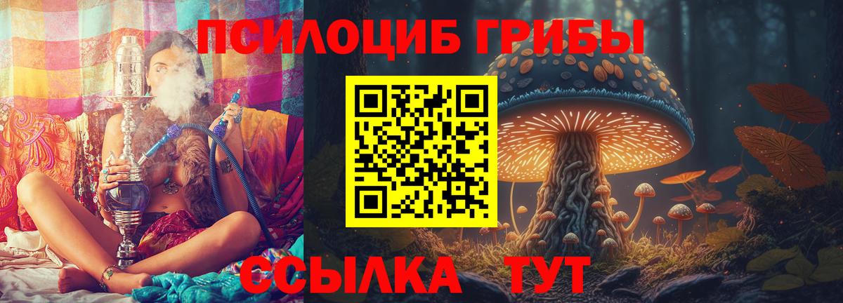 сколько стоит  Вход с VPN  Вязники  Псилоцибиновые грибы ЛСД 